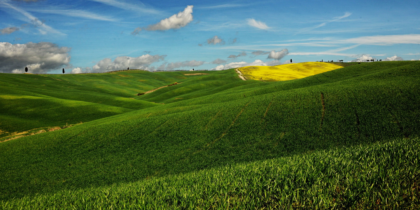 foto omaggio per desk