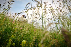 Servizio Fotografico Matrimonio Corbiolo Verona