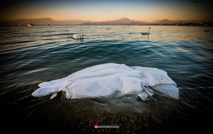 fotografo matrimonio Verona